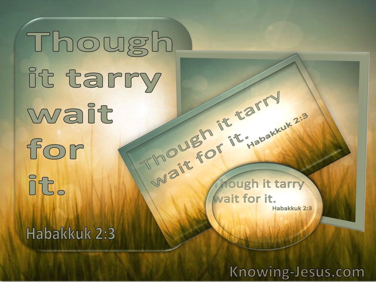 Habakkuk 2:3 Though It Tarry Wait For It (utmost)05:02